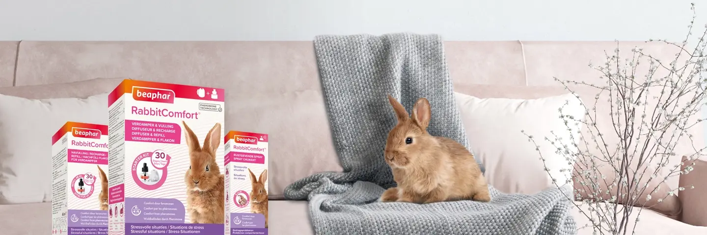beaphar rabbitcomfort helpt konijnen op hun gemak te voelen